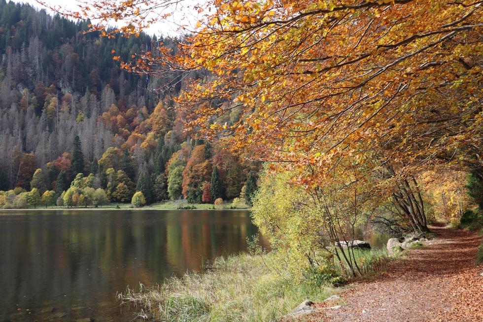 Feldsee - Feldberg