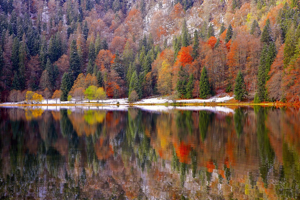 Feldsee - Feldberg