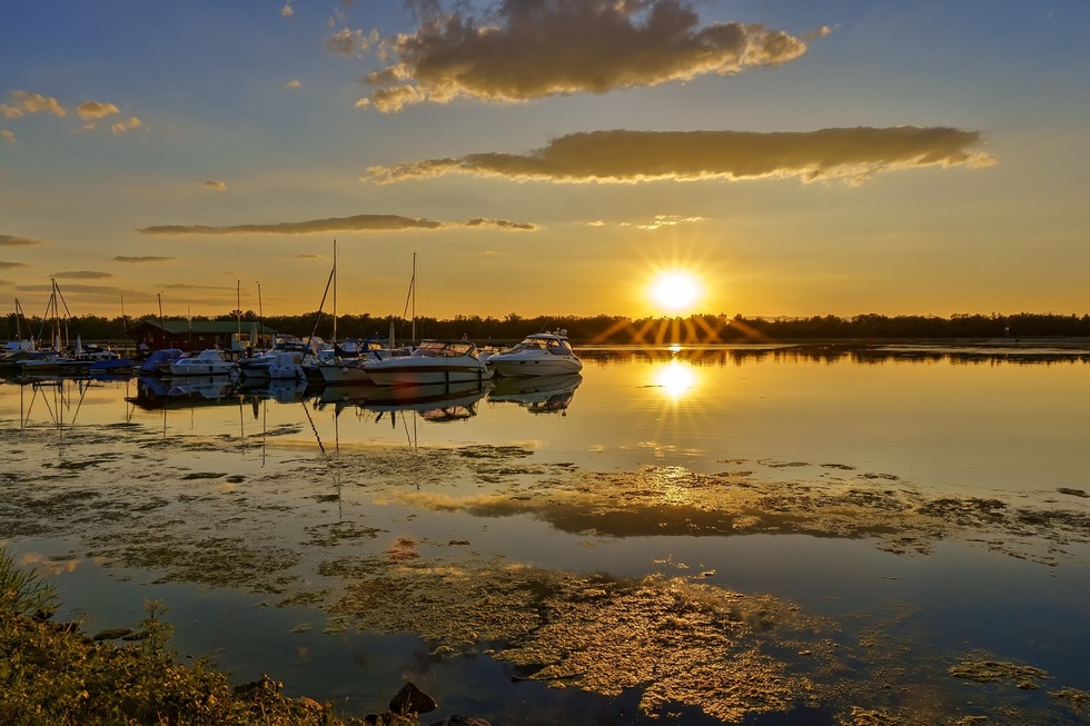 Rhein bei Weisweil - Weisweil