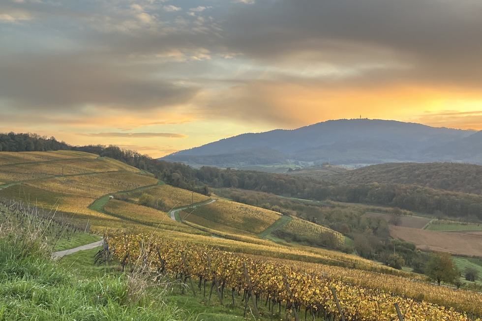 Bammerthsli auf der Eckt - Schliengen