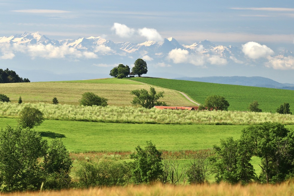 Aussichtspunkt am Gupfen - Weilheim