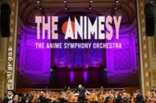 The Animesy im Konzert