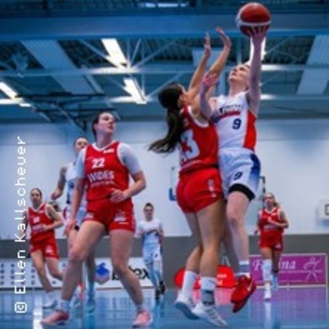 Lady Dolphins vs. TG Neuss Tigers - BIELEFELD - 15.02.2025 16:00