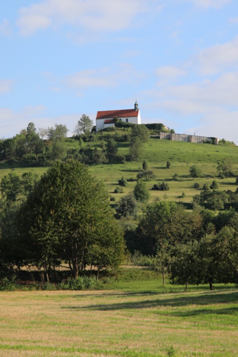 Naturfhrung am Wurmlinger Kapellenberg - Rottenburg am Neckar - 10.08.2025 14:30