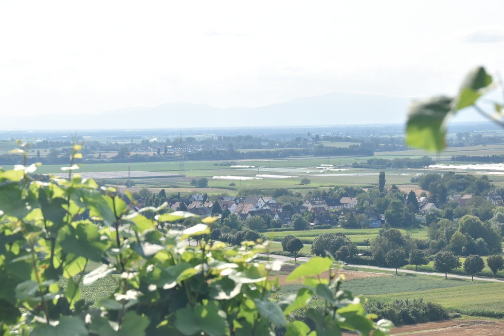 Ortsteil Scherzingen - Ehrenkirchen