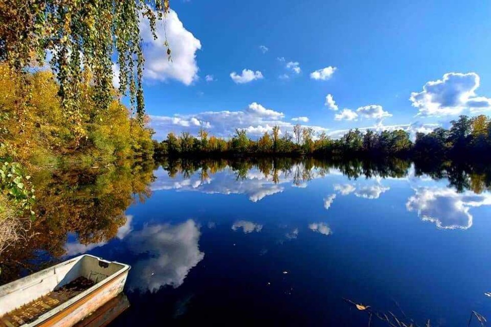 Naturschutzgebiet Taubergieen - Rheinau