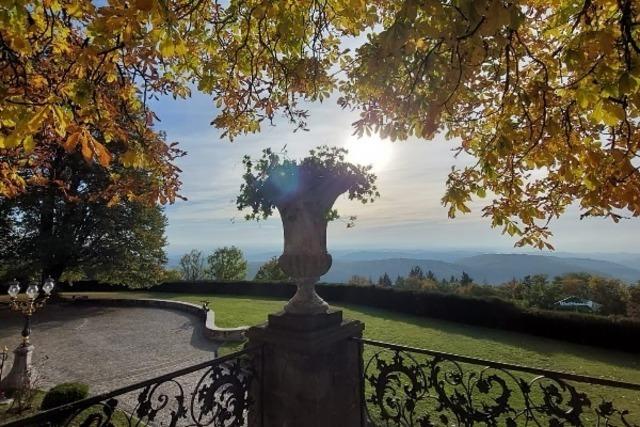 Rosengarten auf Schloss Brgeln (Schliengen)