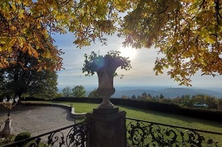 Rosengarten auf Schloss Brgeln (Schliengen)