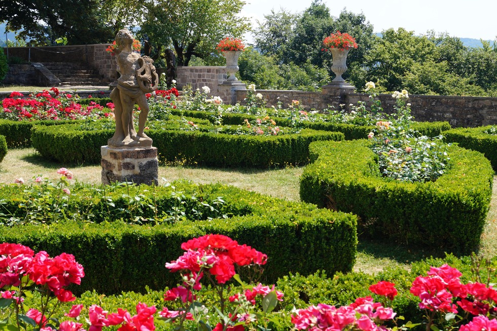 Rosengarten auf Schloss Brgeln (Schliengen) - Kandern