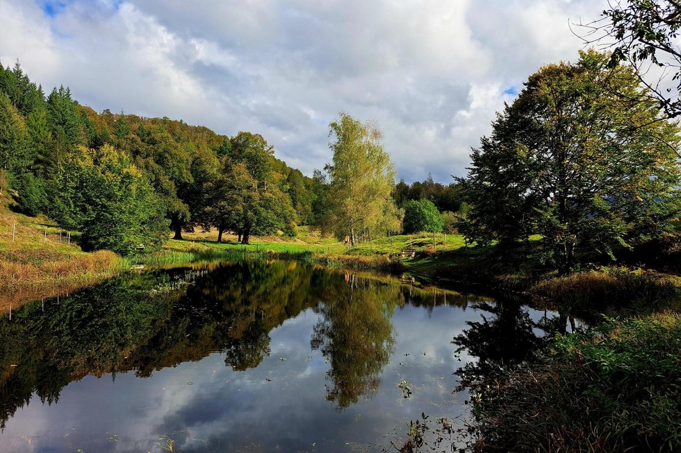 Letzbergweiher - Schnau