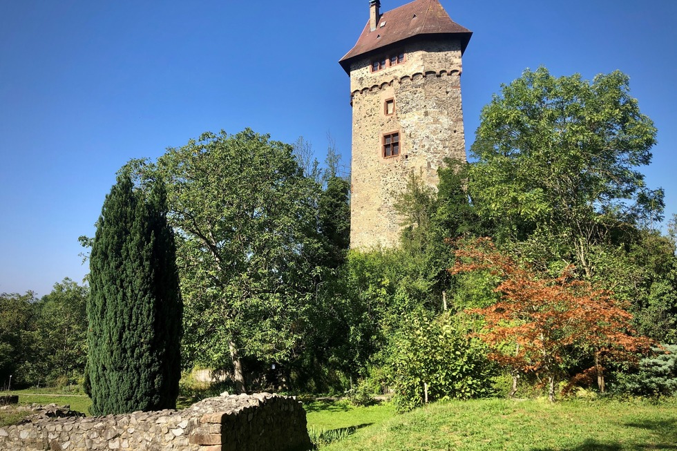 Burg Sponeck - Sasbach