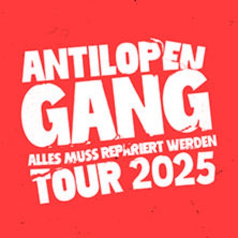 Antilopen Gang - Alles muss repariert werden Tour 2025 - Mainz - 07.08.2025 19:00