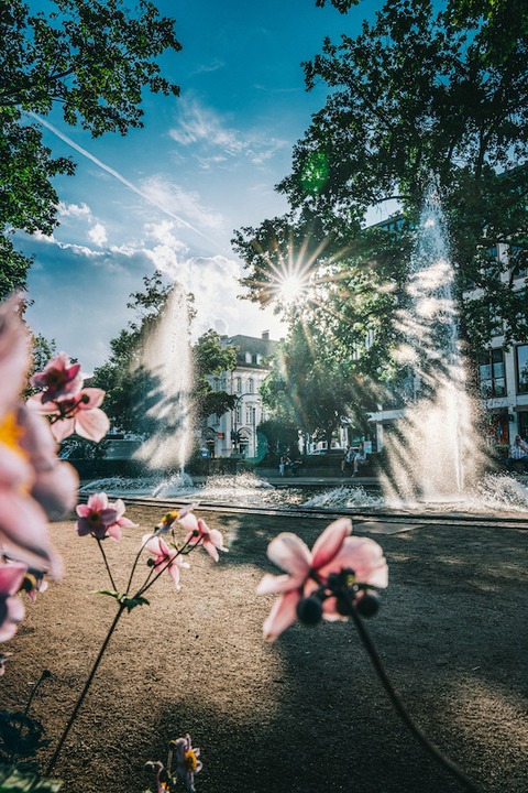 Einfach anziehend: die Brunnen in Frth - Frth - 29.05.2025 14:00