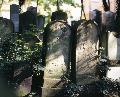 Wovon die Steine zeugen - Frth - 11.05.2025 14:00