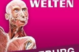 KRPERWELTEN