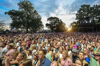 Tickets: Pinot and Rock-Festival in Breisach