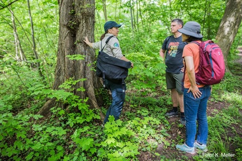 Das Naturschutzgebiet Eisweiher - Riehen - 25.05.2025 14:00