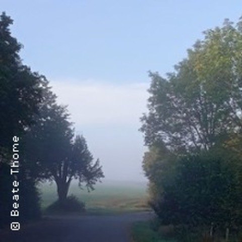 Walkabout - Die Reise zu deiner Natur - NUSSBAUM - 26.07.2025 10:00