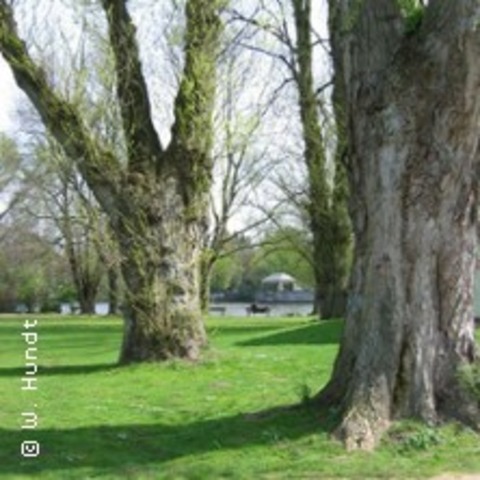 Rundgang: Der Hayns Park - Eppendorfs grnes Erbe - HAMBURG - 06.09.2025 15:00