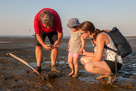 Kinder im Watt - Gefhrte Familien-Wattwanderung im Nordseebad Otterndorf - Otterndorf - 21.06.2025 16:30