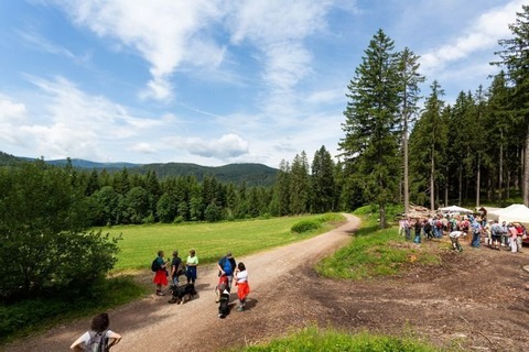 Kulinarische Genusswanderung 2025 - Wandern & Gutes tun - Feldberg - 06.07.2025 11:00