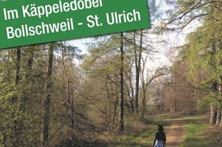 Waldbaden mit erlebnisreicher Wanderung zum Waldbadepfad mit Natur- & Landschaftsfhrerin Veronika Sumser, 07.11.2025