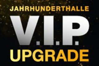 VIP Upgrade - Stahlzeit