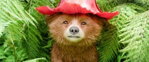 Paddington in Peru (ukrainische Fassung) - Freiburg - 24.02.2025 16:50