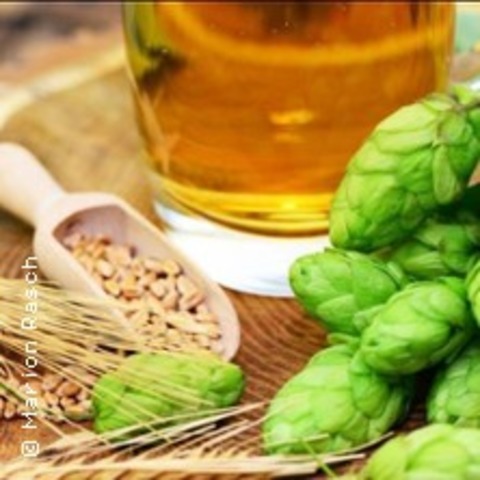 Die Bierbrauer - Braut euer eigenes Bier - FULDA - 05.07.2025 15:00