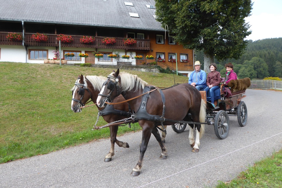 Kutschfahrten Kreuzhof - Titisee-Neustadt