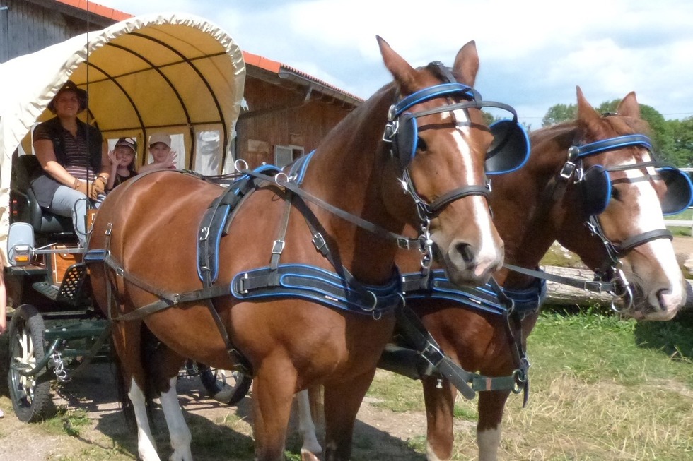 Kutschfahrten Frank - Grwihl