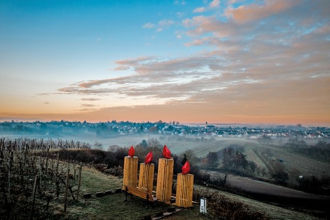 Fackelwanderung durch die Reben - Renchen - 10.12.2025 18:00