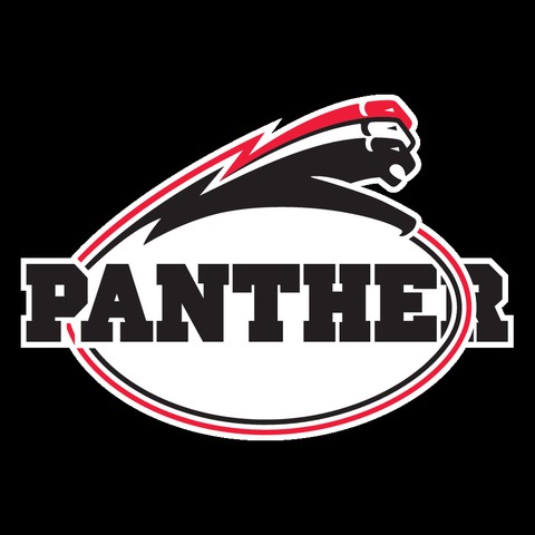 New Yorker Lions - Dsseldorf Panther - Braunschweig - 10.05.2025 18:00
