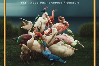 CAF del MUNDO - SYMPHONIC 2025 - feat. Neue Philharmonie Frankfurt