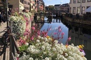 Jdisches Straburg Mikwe