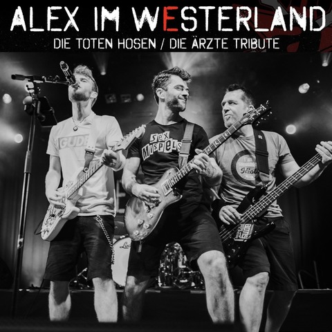 Alex im Westerland - Toten Hosen & Die rzte Tribute - Rsselsheim am Main - 25.04.2025 20:00