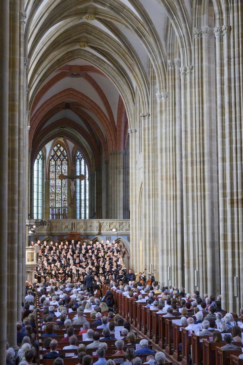 Neue Orgel - Großer Klang - Meißen - 22.06.2025 18:00