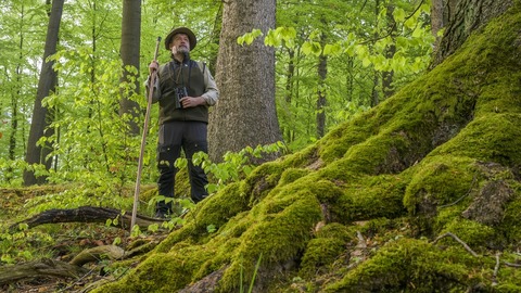 Rangerfhrung auf der Sauerland Waldroute - von Hhle zu Hhle inkl. gemtlicher Einkehr im Haus Recke - Balve - 17.05.2025 14:00