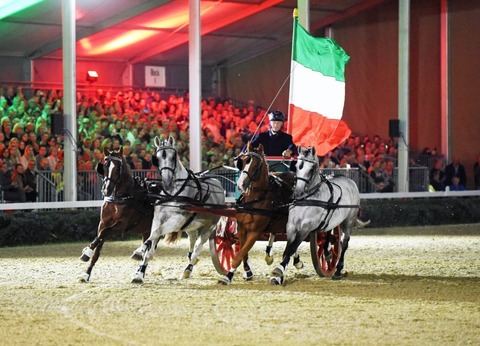 Warendorfer Hengstparaden 2025 - Parade bei Nacht - Warendorf - 27.09.2025 19:00