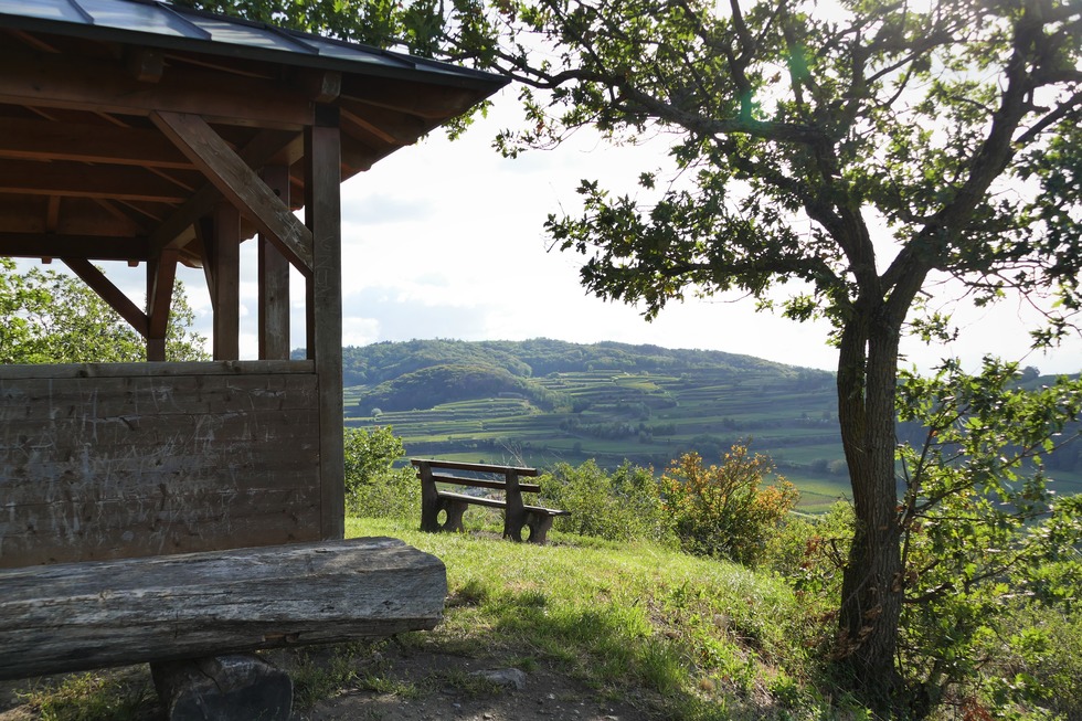 Schlossberg (Achkarren) - Vogtsburg