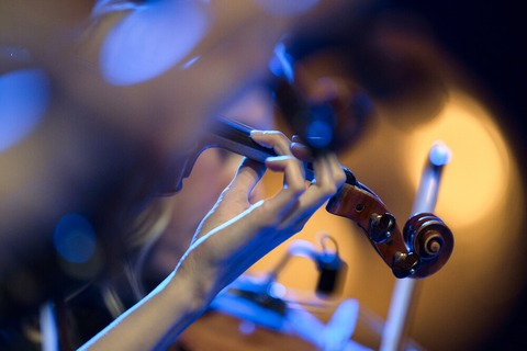 folkBALTICA Showcase - Folk in Blten // Folk i Flor - Flensburg - 24.05.2025 14:00