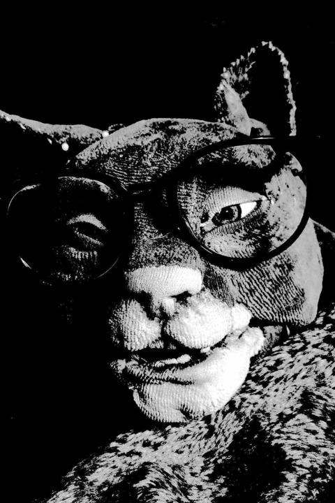 Matou - Die Katze, die kein Mensch sein will - Berlin - 13.06.2025 20:00