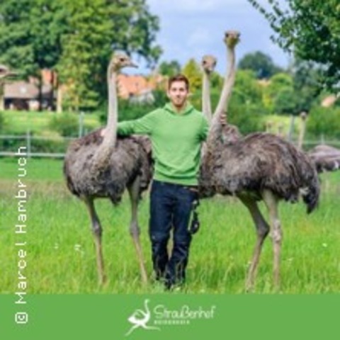 Strauenfleisch-Tasting - BAD FALLINGBOSTEL - 16.08.2025 15:00