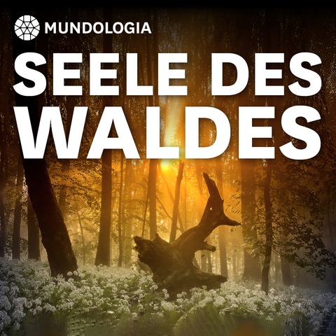 MUNDOLOGIA: Die Seele des Waldes - Freiburg - 27.11.2025 19:30