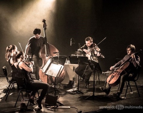 Wooden Elephant - Kassel - 03.07.2025 19:30