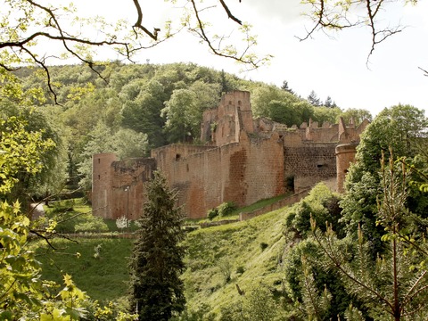 Schloss- und Festungsruine Hardenburg - Bad Drkheim - 27.09.2025 13:30