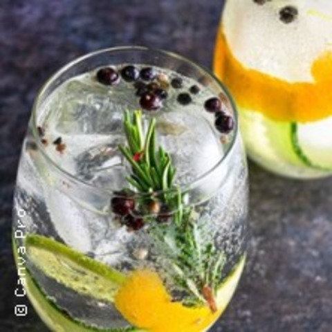 Gin Tasting: Schottland - WORPSWEDE - 12.07.2025 19:00