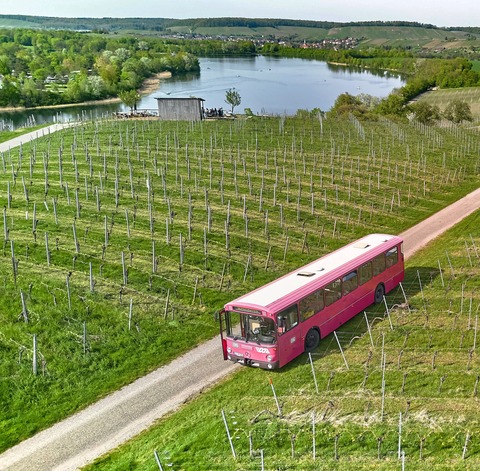 Weinberghopping im Oldtimerbus - Weinsberg - 25.10.2025 14:00