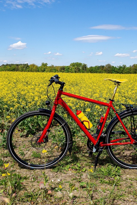 Radtour - Foto-Tour: Lost Places am Mauerweg - Teltow - 18.10.2025 10:00