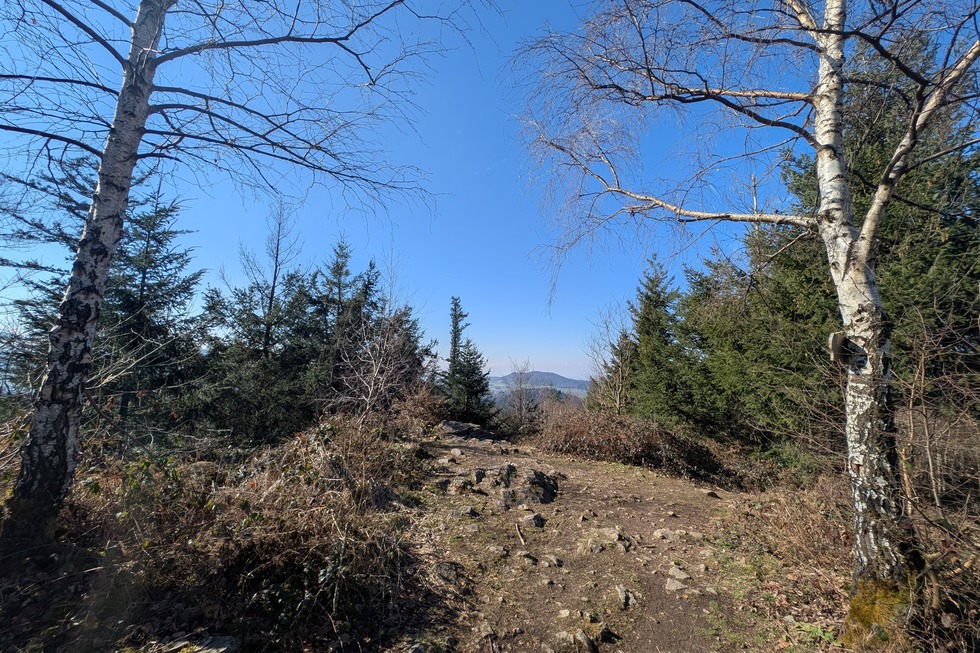 Aussichtspunkt Zwei Birken - Freiburg